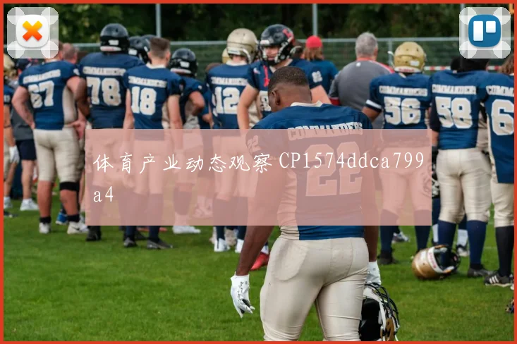 体育产业动态观察 CP1574ddca799a4