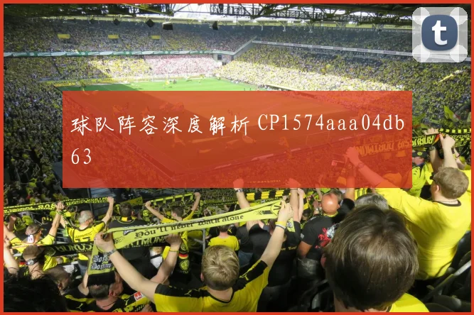 球队阵容深度解析 CP1574aaa04db63