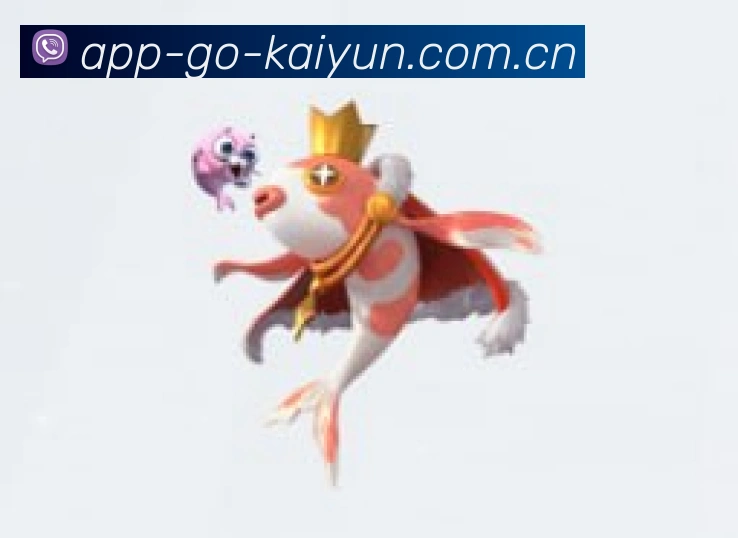 奖项证书